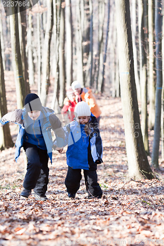 Image of Family walking in the woods