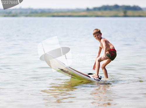 Image of Starts on the water