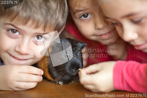 Image of Children and guinea pig