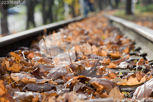 Image of Railroad with autumn leaves