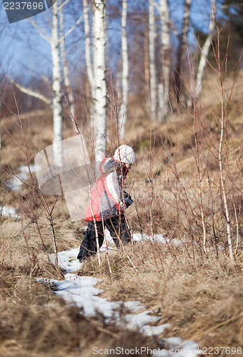 Image of Snowy path