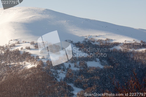 Image of Snowy mountain slope