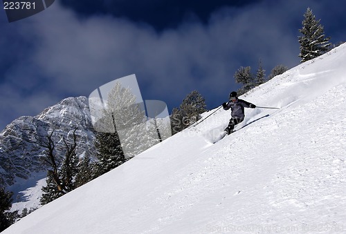 Image of Skiing