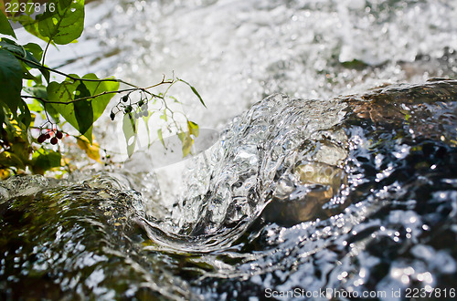 Image of Close up of water 