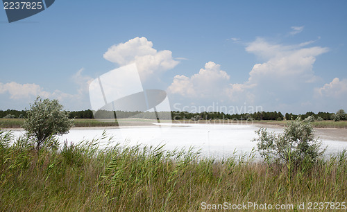 Image of Saline lake, Kinburn Spit, Ukraine