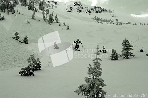 Image of Avalanche