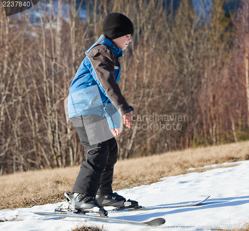 Image of In search of snow