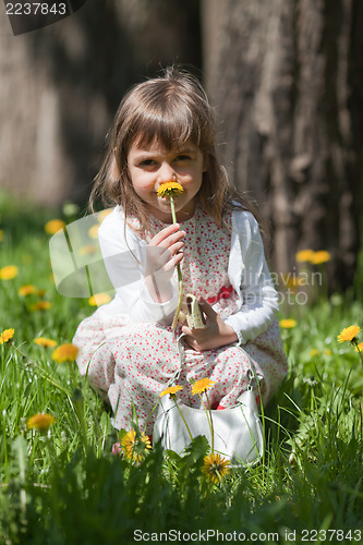 Image of Little girl sniffing flower