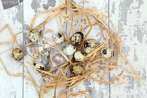 Image of Quail Eggs