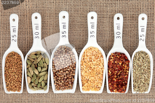 Image of Spice Measurement