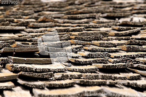 Image of Old Roof