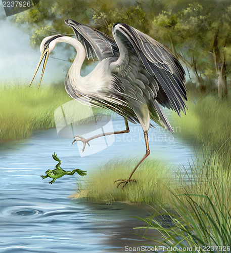 Image of Illustration, crane hunting a frog in the water.