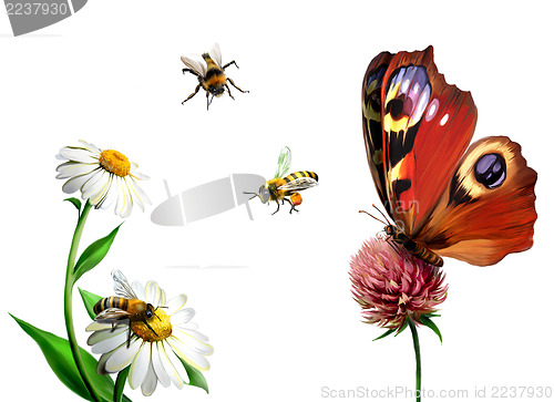 Image of Butterfly, daisy, and Bees