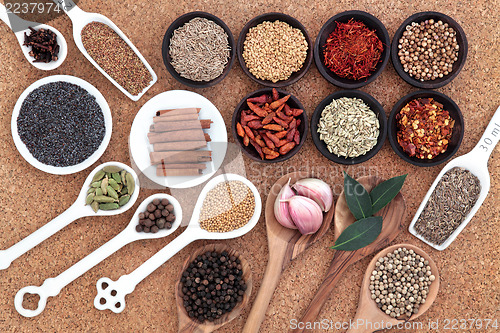 Image of Spices and Herbs