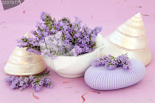 Image of Lavender Soap