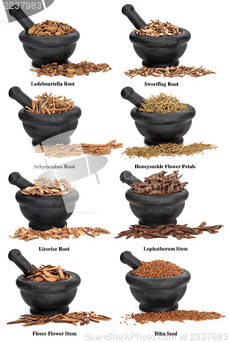 Image of Chinese Herbal Medicine