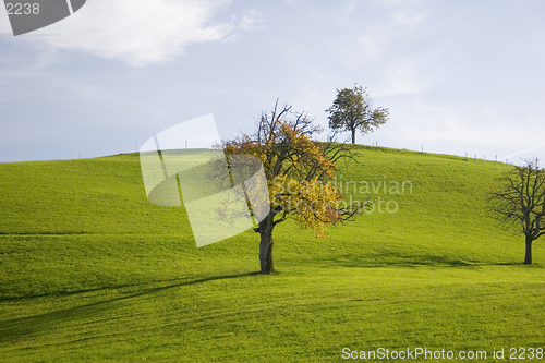 Image of Autumn Colors II