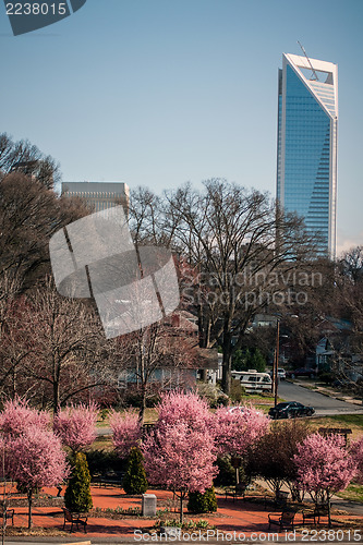 Image of spring in a big city
