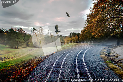 Image of foggy nature along the train tracks