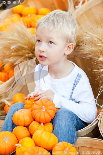 Image of child at the pumpkin patch