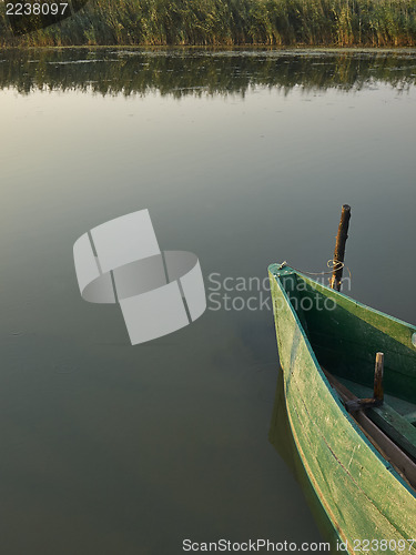 Image of Wooden boat and reeds