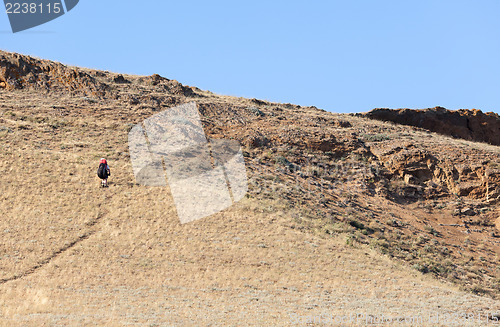 Image of Paraglider