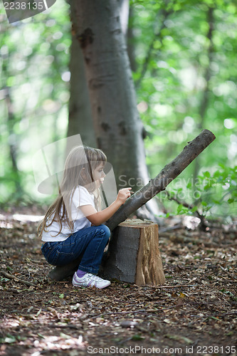 Image of Little explorer