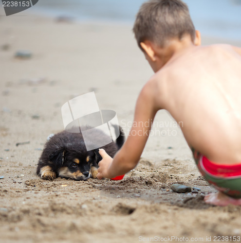 Image of Puppy and boy