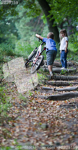 Image of Children in forest