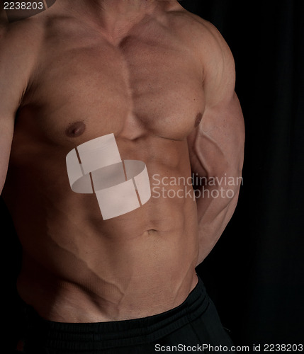 Image of bodybuilder