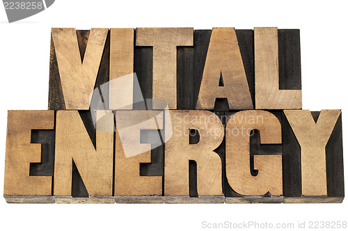 Image of vital energy in wood type