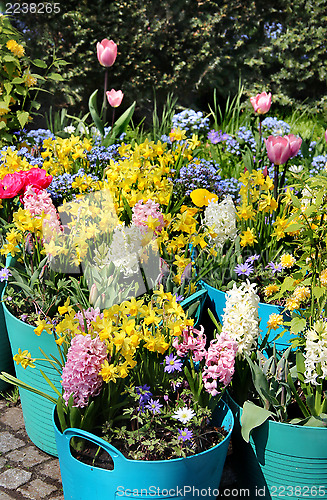 Image of Sunny terrace with a lot of flowers