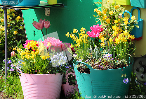 Image of Sunny terrace with a lot of flowers