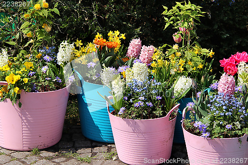 Image of Sunny terrace with a lot of flowers