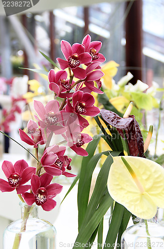 Image of Orchids and other flowers 