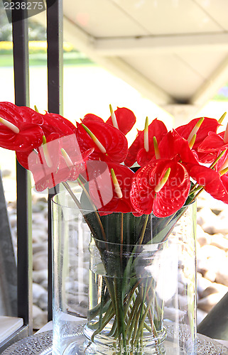 Image of Bouquet of beautiful red callas 