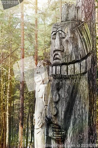 Image of Forest Inhabitants