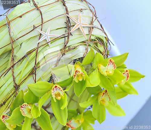 Image of decoration summer  orchid