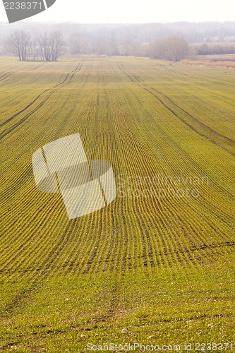 Image of Agriculture