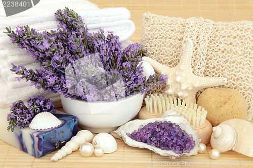 Image of Lavender Beauty Treatment