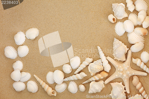 Image of Beach Treasure 