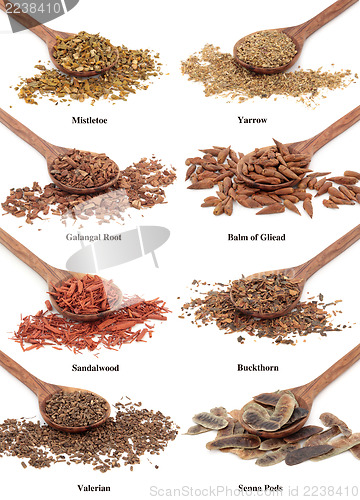 Image of Natural Herbal Remedies 