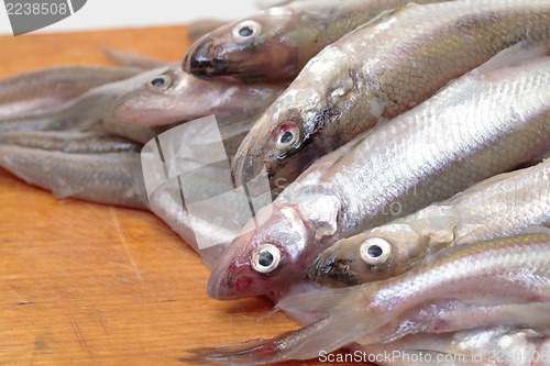 Image of Fresh smelts fish