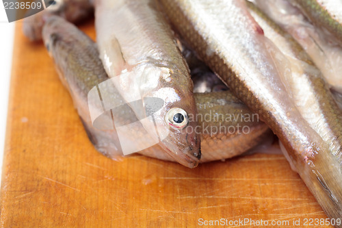 Image of Fresh smelts fish