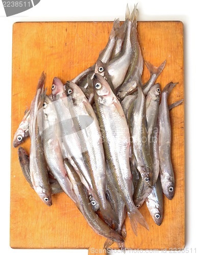 Image of Fresh smelts fish