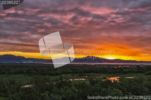 Image of sunrise in the wetlands of Roses