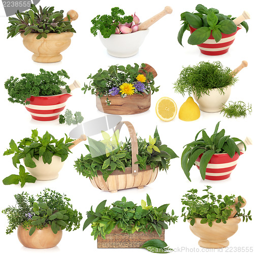 Image of Herb Sampler