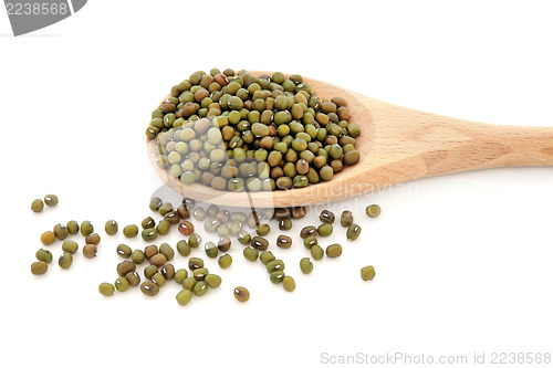 Image of Mung Beans