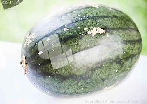 Image of Close up fresh green sweet water melon 
