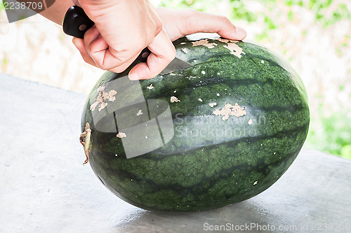 Image of Fresh green water melon and knife cutting 